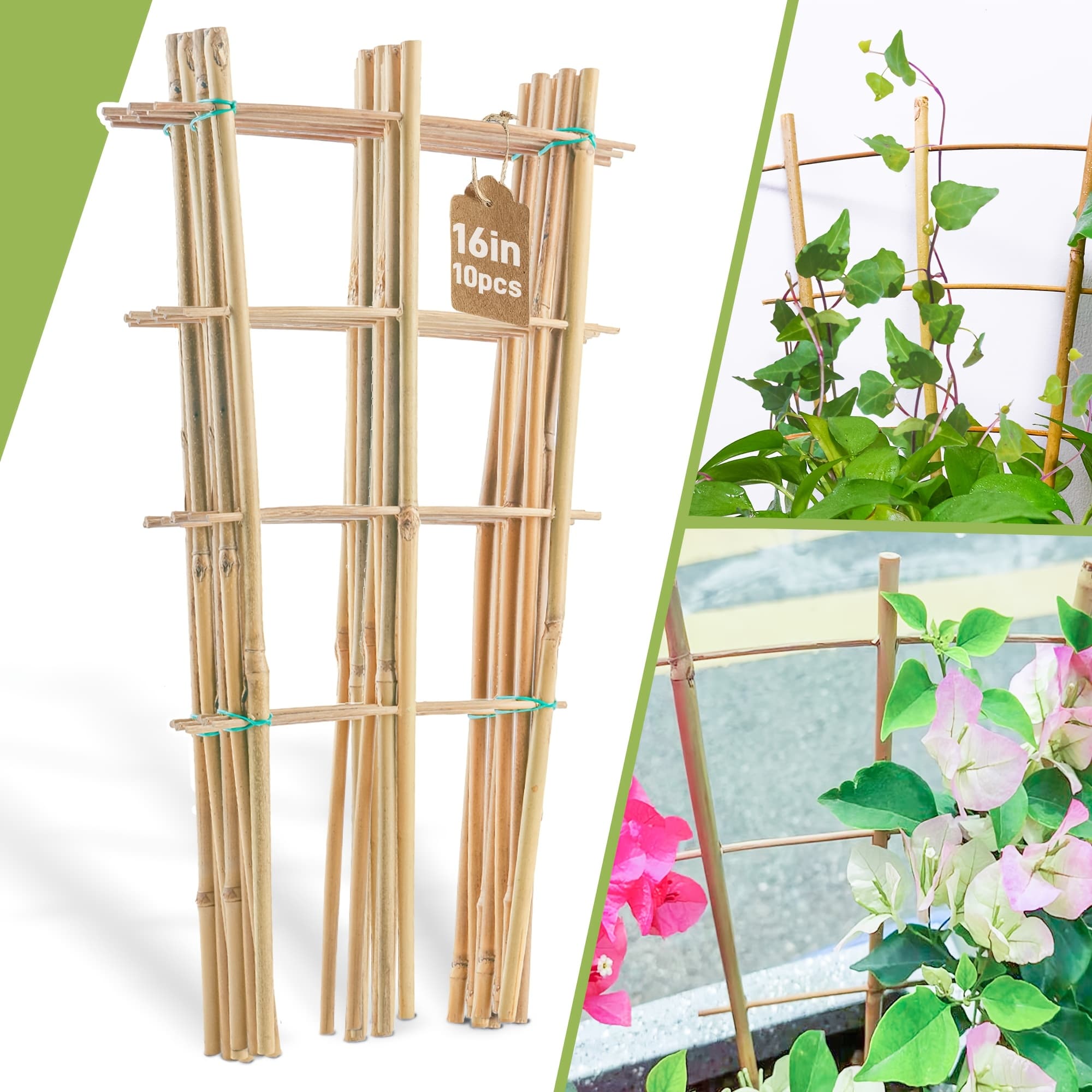 TEMU 5pcs/ 10pcs Bamboo Trellis For Climbing Plants, 16 Inch Fan-shaped Plant Support Bracket, Suitable For Potted Plant Decoration
