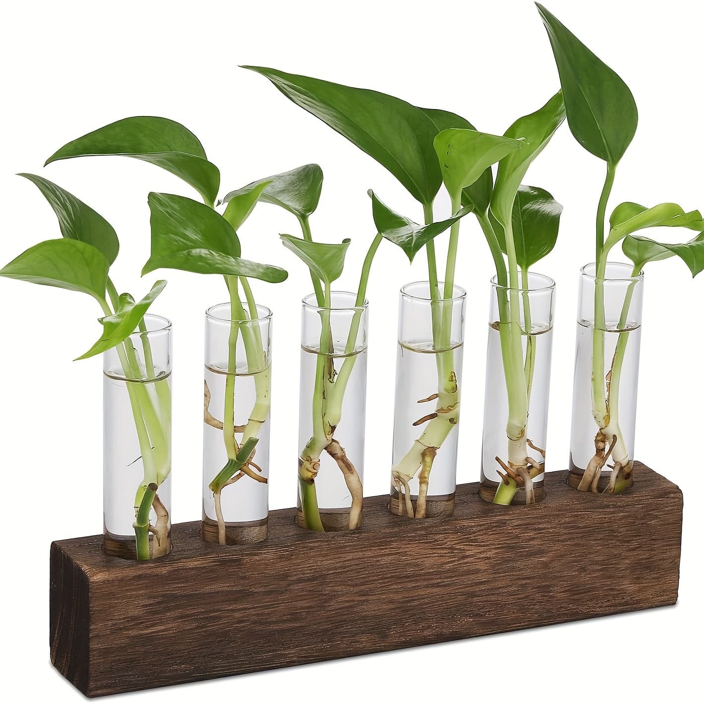 TEMU Desktop And Wall-mounted Glass Flower Pots, Plant Propagation Station With 3/6 Test Tubes, Suitable For Home, Office, Garden, Living Room, And Bedroom Glass Plant Containers, A Gift For Women