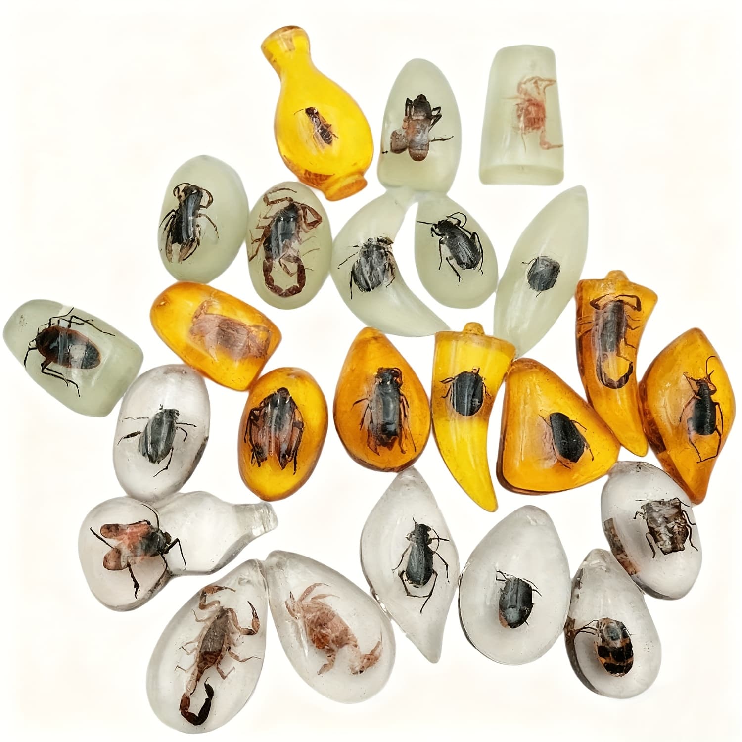 TEMU 6pcs Transparent Amber Simulated Insect Specimens | Handmade Dropper, Resin, Paperweight, Teaching Aids, Wearable Necklace, Key Chain, Collectibles, Gifts, Desktop & Interior Decorations