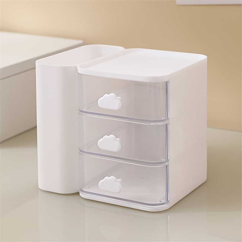 TEMU Plastic Desktop Storage Box