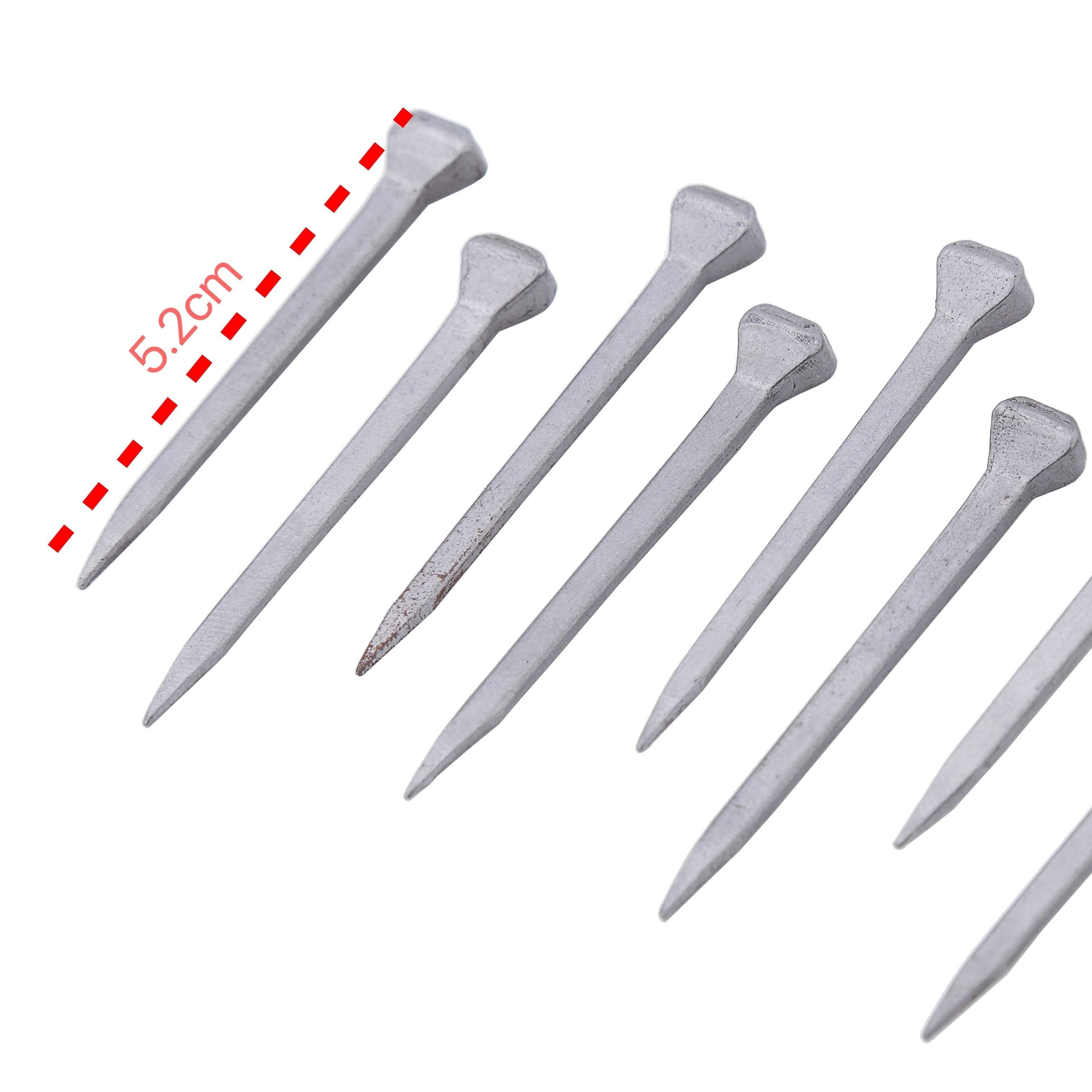 TEMU 2 Inch Horseshoe Nails Box Of 100
