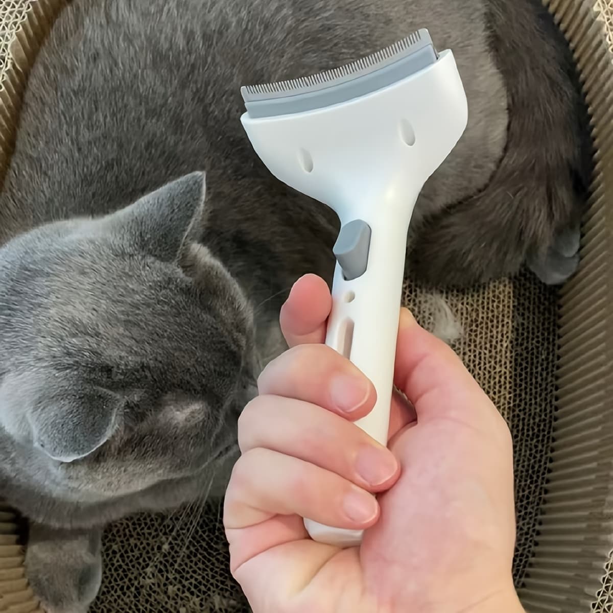 TEMU 1pc Deshedding Tool For Dogs - Wide Curved Undercoat Brush For Effortless Pet Deshedding, Loose Hair Remover For
