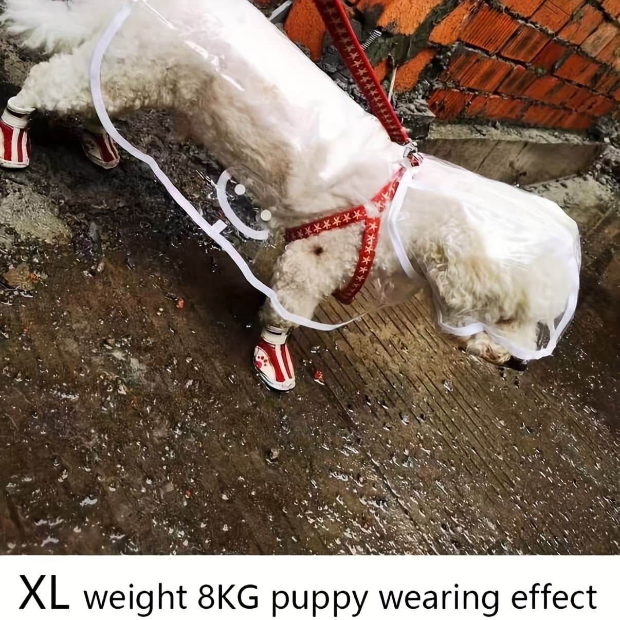 TEMU Transparent Dog Raincoat - Pvc, , Button- For To Medium Breeds, Ideal For Teddy & Bichon Frise, Walking Gear, Dog Raincoat | Transparent Raincoat | Pvc Raincoat