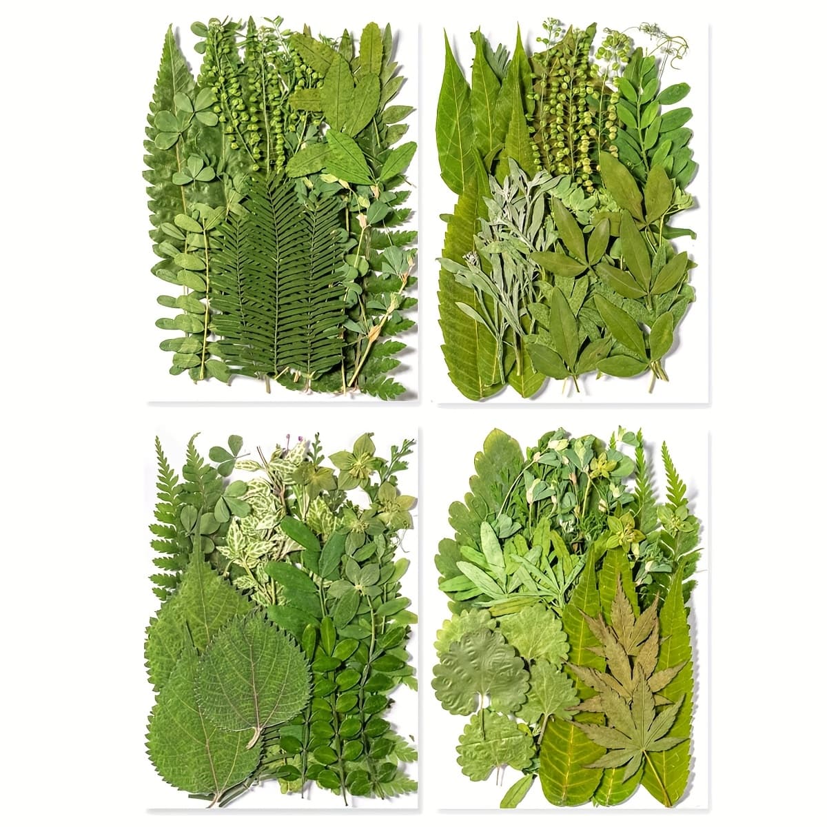 TEMU 140pcs Vibrant Dried Flowers And Leaves Set - Nature-inspired Decoration Kit For Crafts, Phone Case, Resin Jewelry, Candles, Scrapbooking And More