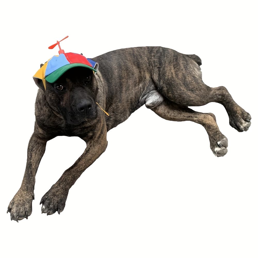 TEMU Dog Hats With Funny Propeller, Size And Rope Double Adjustment Pet Hats For Small, Medium, Large (iridescent)
