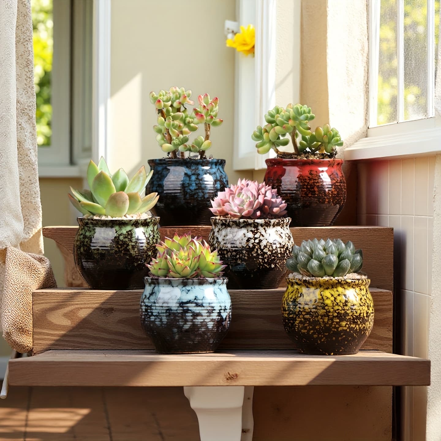 TEMU Succulent Ceramic Flowerpot Creative Potted Meat Plant Special Ceramic Pot Wholesale Factory Direct Ceramic Thumb Succulent Plant Small Flower Pot New Model