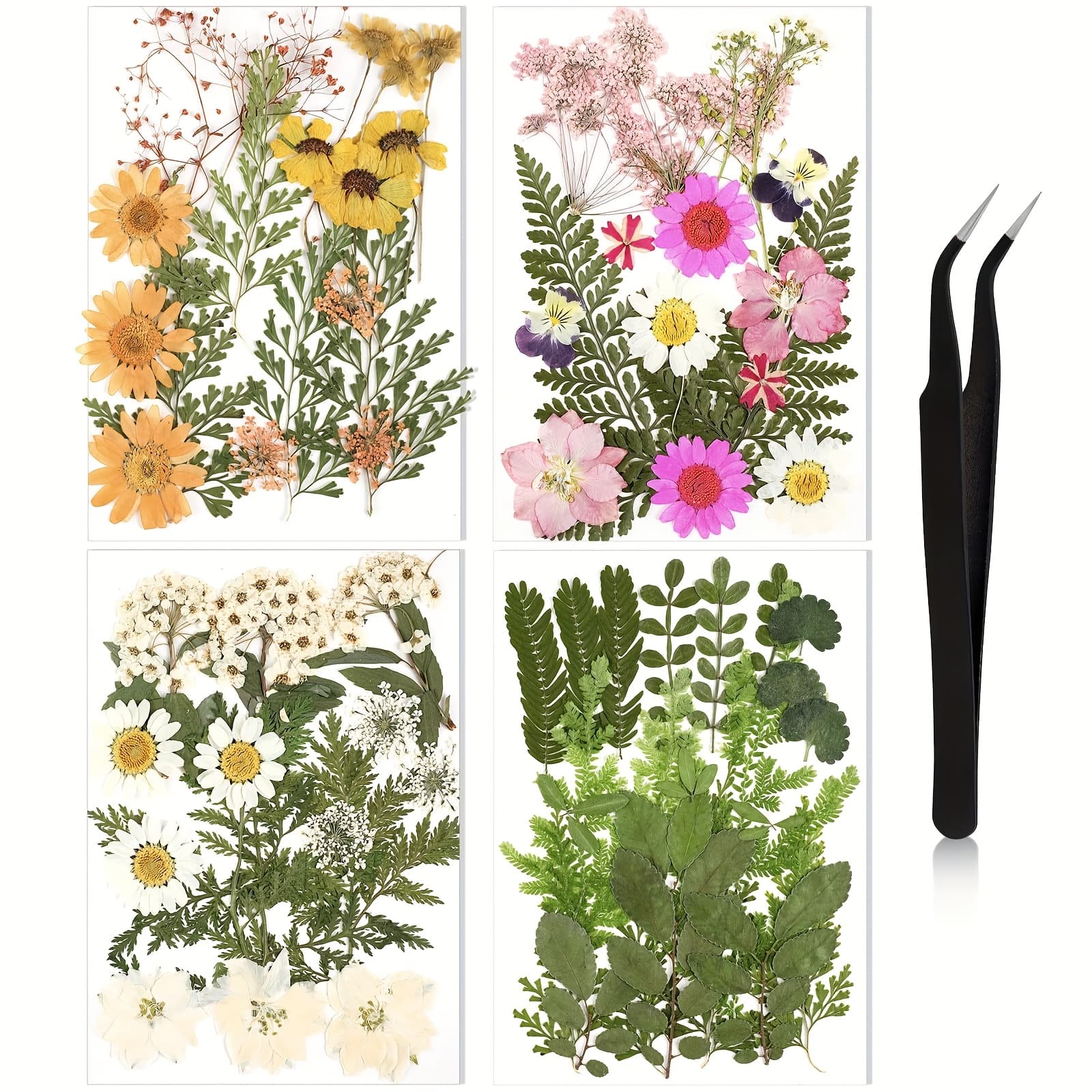 TEMU Colorful Collection Of Dried And Foliage - -themed Crafting Set For Creative Scrapbooking, Resin Art, Stylish Bookmarks, Projects, Phone , And Home Decor