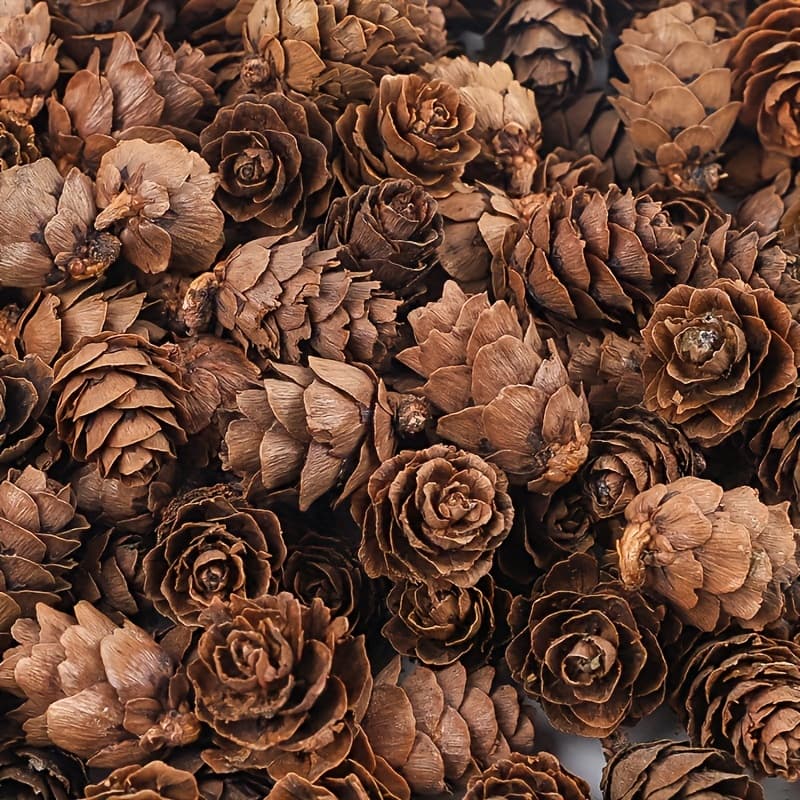 TEMU 70pcs Mini Pine Cones Christmas Decorations-perfect For Diy Holiday Scenes And Party Decorations, Retro Christmas Decorations