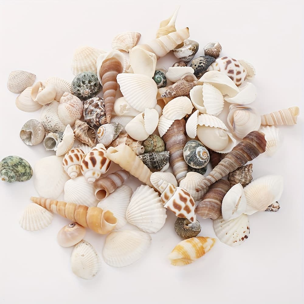 TEMU 100g/3.53oz Shell Conch Beads For Jewelry Making Diy Handcraft House Deocrate Supplies ( 54pcs)