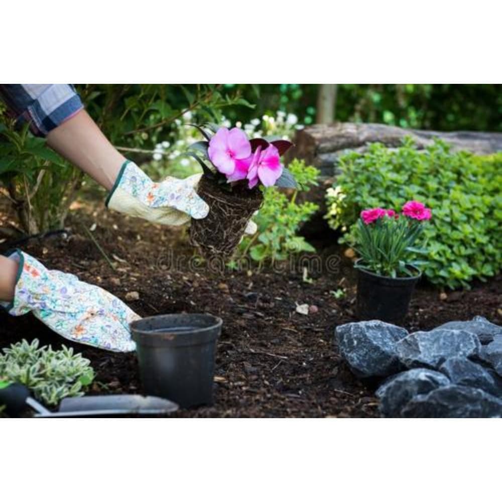TEMU Plant Plastic Flowerpot, Horticultural Flowerpot, Field Planting Pot, Suitable For Seed Planting, Plant Cutting, Succulent 100pcs 4inch Laundry Storage Organization