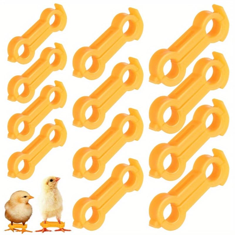 TEMU 12pcs Of Leg Braces For Chicks, Designed For The Recovery Of Young Chickens, Quails, , And Small Birds, Suitable For Poultry Farming, , And Breeding , Quail Leg Splint, Leg Support