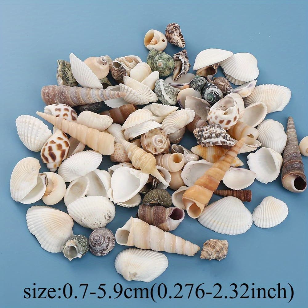 TEMU 100g Natural Sea Shells & Scallop Conch - Shells Suitable For Fish Tank Vase Fillers, Beach Wedding Decor, Nautical Crafts - Durable Seashells For Home Decor & Collections