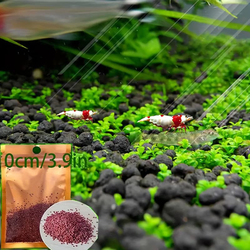 TEMU 30000pcs Of Aquarium Planting Aquatic Plants Decoration, Aquatic Plants Carpet, Non-simulated Natural Aquarium Landscape Aquatic