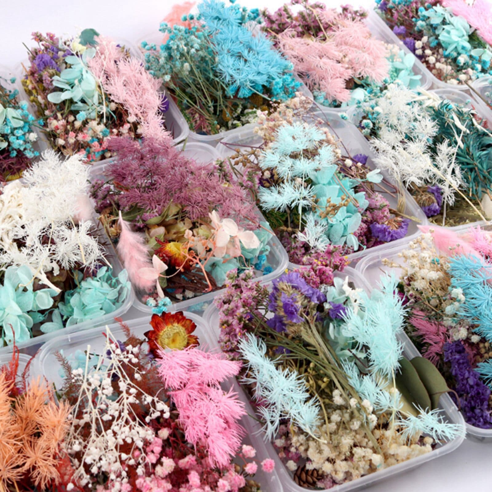 TEMU Dried Flower Set Assorted | , Ideal For Christmas, Valentine's Day, , Styles Decoration Wrapping Scrapbooking Home Decor Supplies