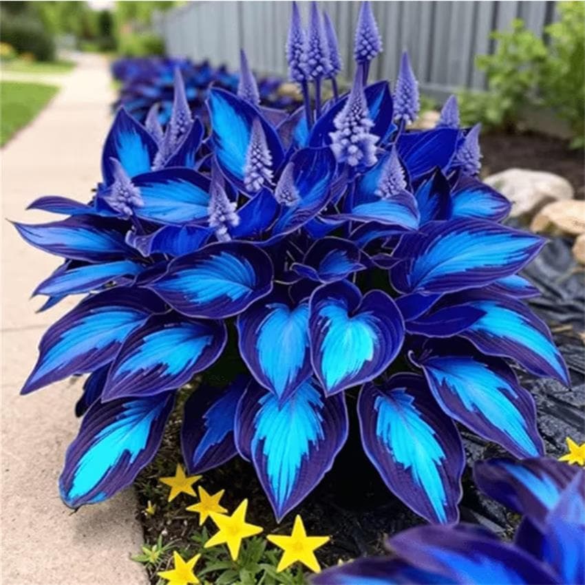 TEMU New Arrival ! 1pc 2d Flat 2323cm Drill Diamond Painting, Cute Bun Themed Mosaic Art, Exquisite Handmade Ornament, Ideal Decorative Gift For For Daily Home Use
