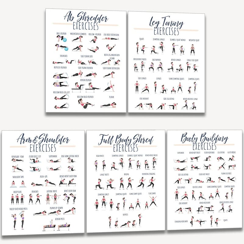 TEMU Collection Of 5 Workouts, Body Manual, Fitness Routines, Core Workouts, Glute Workouts, Leg Workouts, Arm And Shoulder Workouts, Healthy, 8x10 Inch Unframed