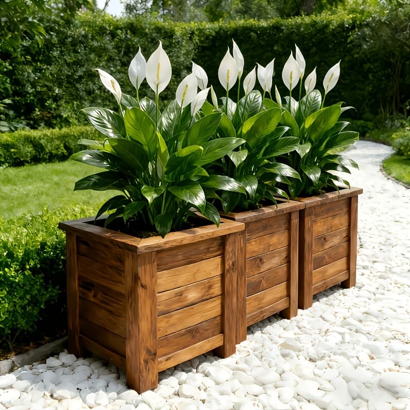 TEMU 3pcs Artificial Peace Lily Faux Plants, Realistic White Fake Greenery For Home Wedding Hotel Patio Indoor Outdoor Decor, No Pot