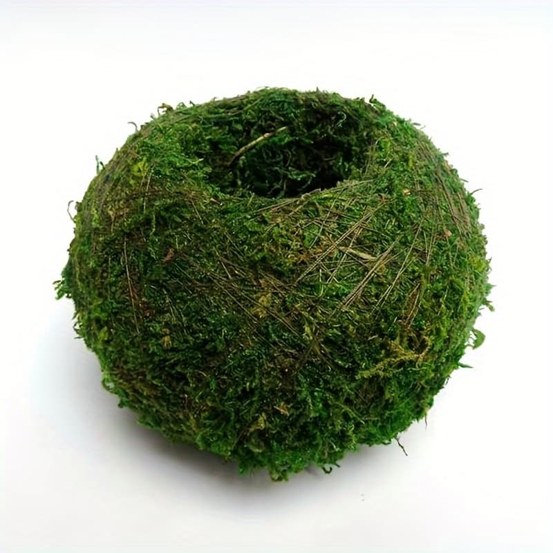 TEMU 1 Exquisite Moss Plant Growing Container, Moss Ball, Desktop Decoration, Garden Decoration, Micro Landscape, Suitable For Air Plants And Succulents