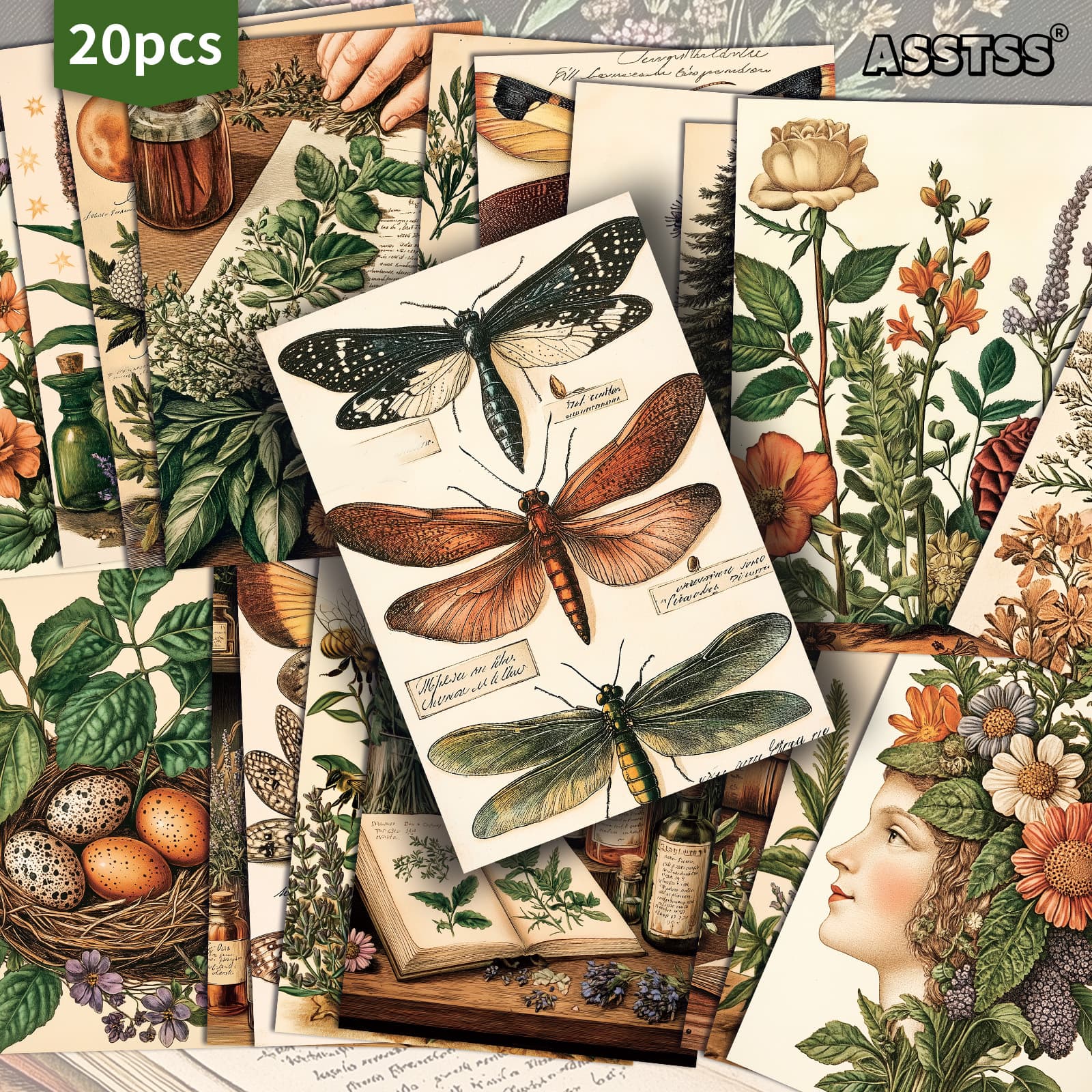 TEMU 20-pack Asstss Insects, Plants, Herbs, Medicine Gift Cards - 4x6 Inches Retro Junk Journal Paper, Classic Pinup Illustrations, Collectible Decorative Painting Cards For Scrapbooking & Crafting
