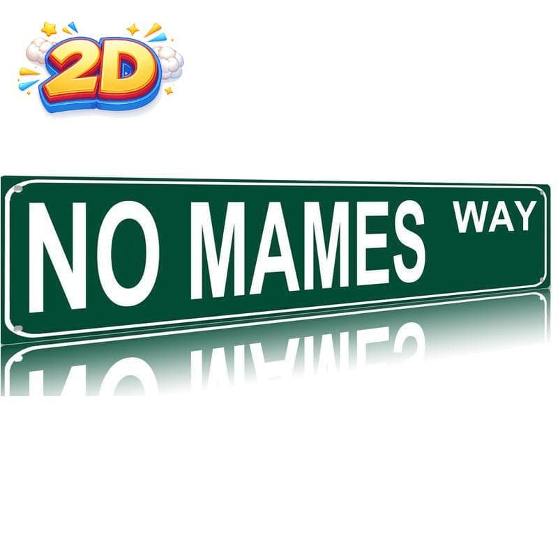 TEMU Sign No Way Aluminum Sign Street Sign Modern Metal Sign For Home Bar Indoor Outdoor Room Decor Wall Gift 4"×16