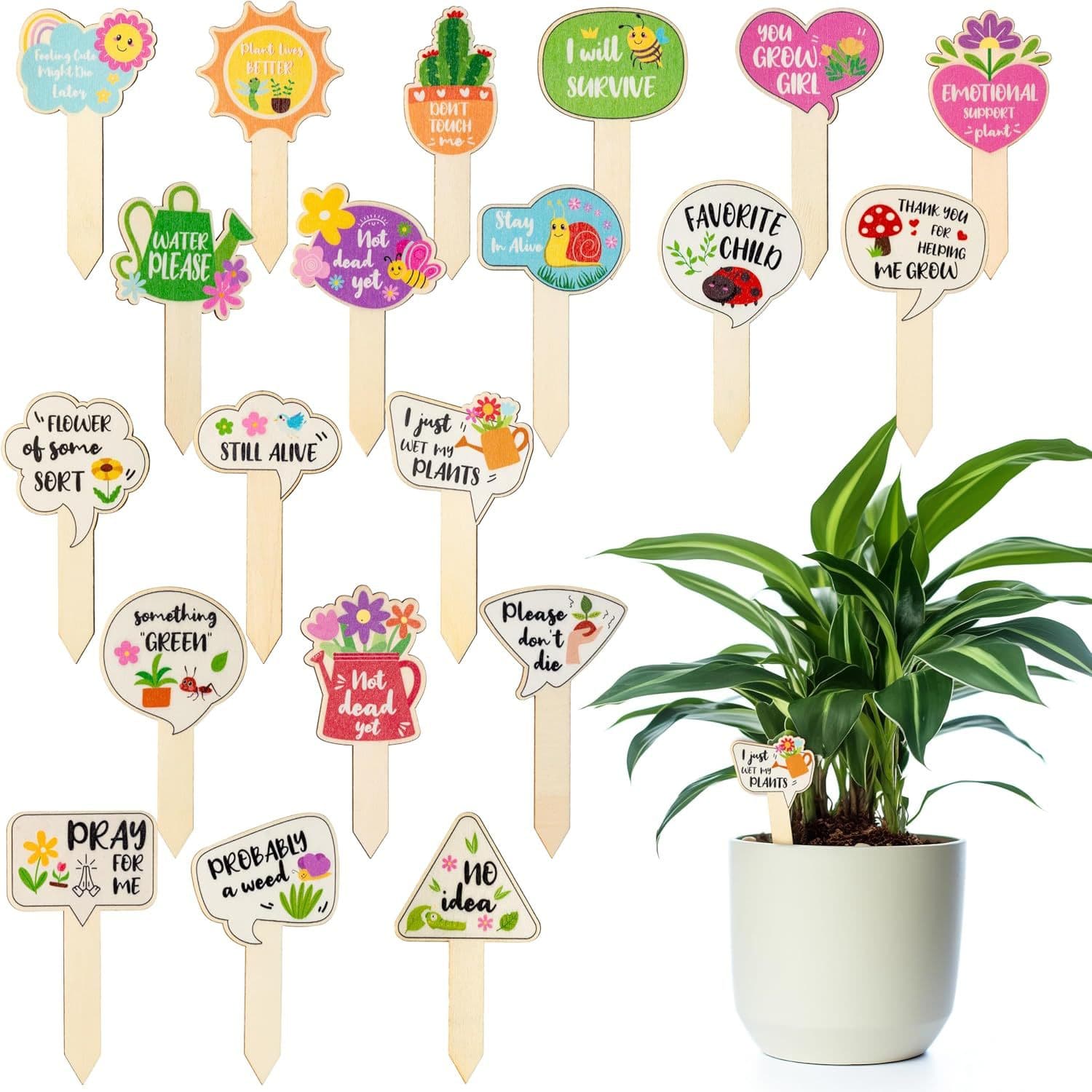 TEMU 20 Wooden Plant Labels, Plant Stick Labels, Name Stakes, Suitable For Flower , Succulent Potted Plants, Gardening Gifts. Flower Pot Accessories, Plant Tags