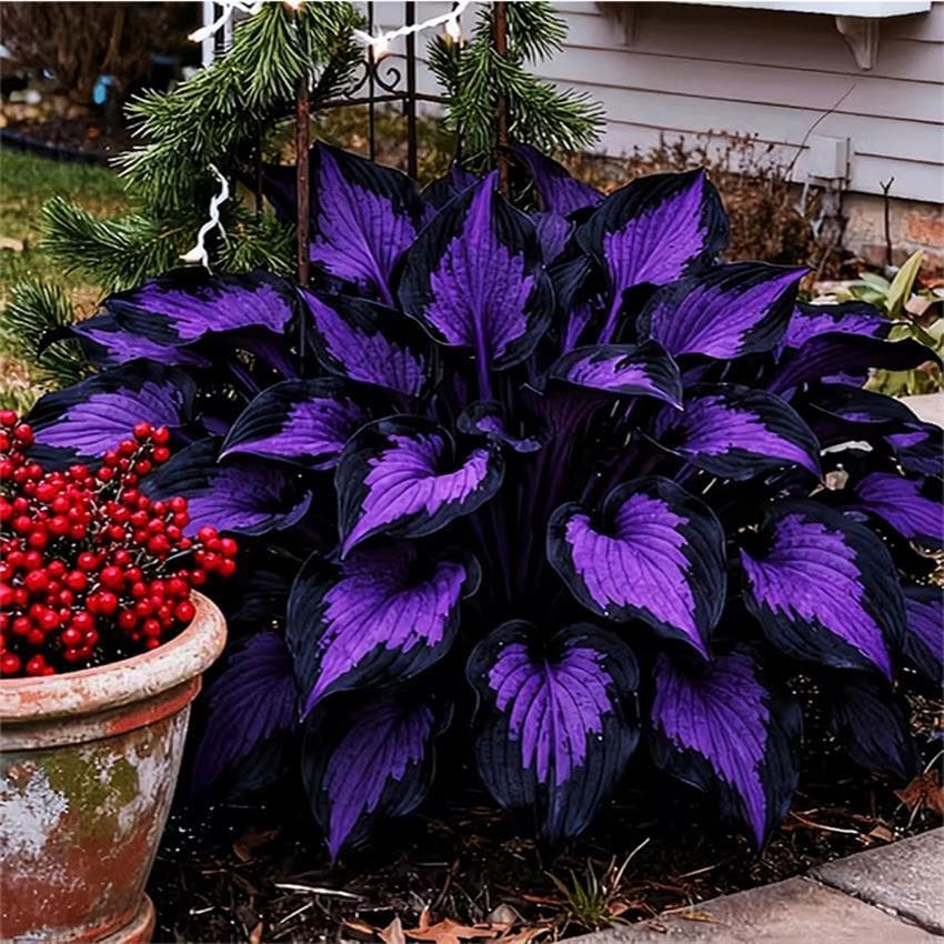 TEMU Purple Black 2d Diamond Painting, Plant Style Drill Mosaic Craft, Cartoon Art For Desktop Table Wall Decor, Unique Handmade Gift For Holiday Parties