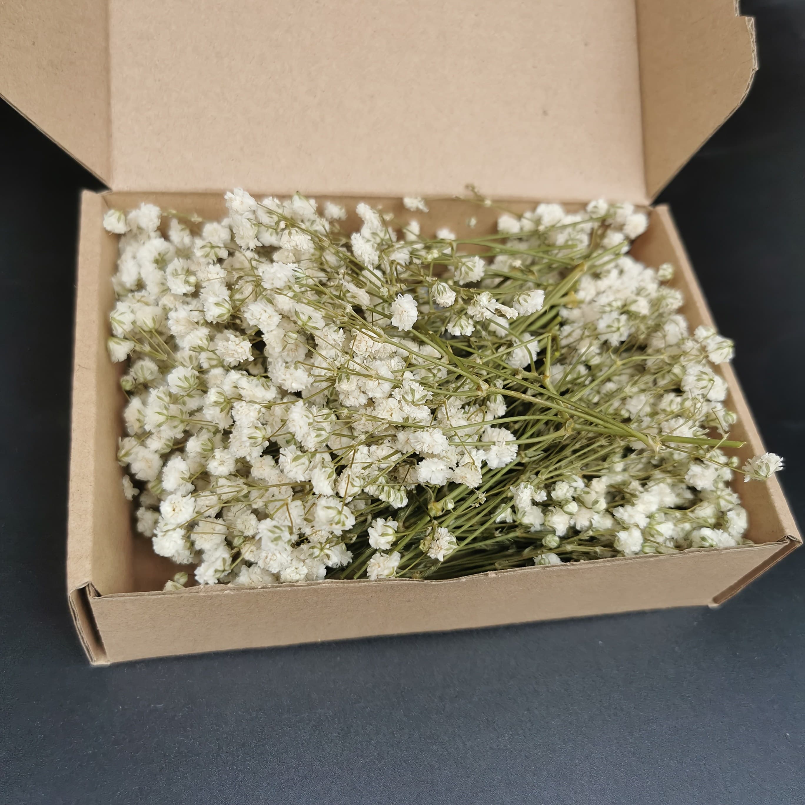 TEMU 20-22g Of Natural Dried Baby's Breath, Gypsophila Flowers For Resin Crafts, Card Creation, Bohemian Wedding Decorations, Pampas Grass Arrangements, And Desktop Displays For Home Office Parties