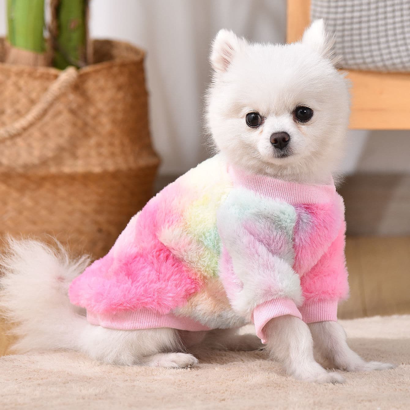 TEMU Pet Clothes For Dogs, Puppies, And Cats: Schnauzer, Teddy, Pomeranian, Bichon, Small Dogs - Autumn/winter Plush -lined Warm Anti-shedding Sweatshirt