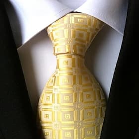 Men's Neckties Vintage Party Work Casual Print Business Formal