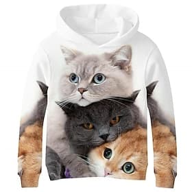 Jungen 3D Tier Katze Kapuzenshirt Langarm 3D-Druck Frühling Herbst Aktiv Sport Modisch kinderkleidung 3-13 Jahre Outdoor Täglich Innen Regular Fit