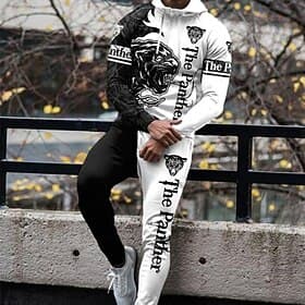 Men's Graphic Lion Animal Patterned 2pcs 3D Sweatshirt Sets Tracksuit Hoodies Long Sleeve Long pants Hooded Streetwear Sportswear Basic Sports  Outdoor Casual