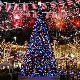 DC24V Safe Voltage LED  String Lights 100M 50M 20M 10M with 800 LEDs and 400 LEDs, Fairy Strip Holiday Lights, IP65 Waterproof Outdoor Lighting for , Party, Ne