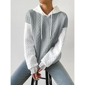Women's Texture Sweatshirt Pullover Hoodie Sweatshirt Patchwork Color Block Casual Long Sleeve Hooded Regular Tops Street Dailywear Black Gray Spring Fall