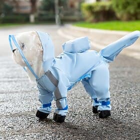 Small Dog Raincoat  Rain Shoes SetFull-Coverage Reflective Dog Jacket with D-RingDogs Raincoat with Rain Boots Set for Puppy Small Dogs