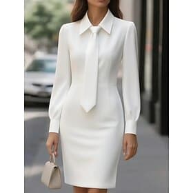 Femmes Mini Robe Robe moulante Formel Robes semi-formelles Bureau Coupe régulière Uni manche longue Col ras du cou Noir Blanche Kaki Printemps Automne