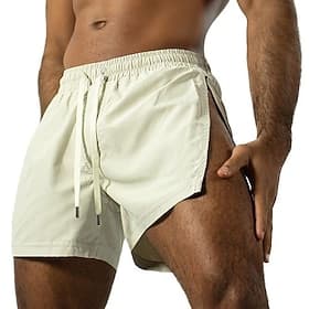 Herren Aktiv Shorts Freizeitshorts Reißverschluss Elastischer Bund Einfach Schnelltrocknend Sport Über dem Knie Lässig Spaziergang Fitnessstudio Sport Streetwe