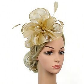 Fascinators Organza Wedding Birthday Elegant Vintage Cute With Feather Tulle Headpiece Headwear