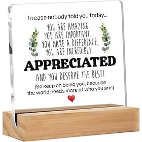 Inspirational Gift Ideas - Thank You Gifts for Women Men Friends - Appreciation Gifts for Coworker - Motivational Quote Clear Desk Sign Decor Home Office Desk