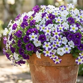 30PCS Artificial Flowers with Three-Color Gradient Daisies, Perfect for Outdoor Garden Decoration, Spring  Summer Seasonal Decor, Suitable for Indoor/Outdoor U
