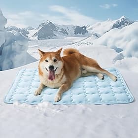Tapis rafraîchissant pour chiens et chats, tapis de couchage rafraîchissant en soie glacée, lavable, respirant et antidérapant, pour cage ou canapé/sol d'intér