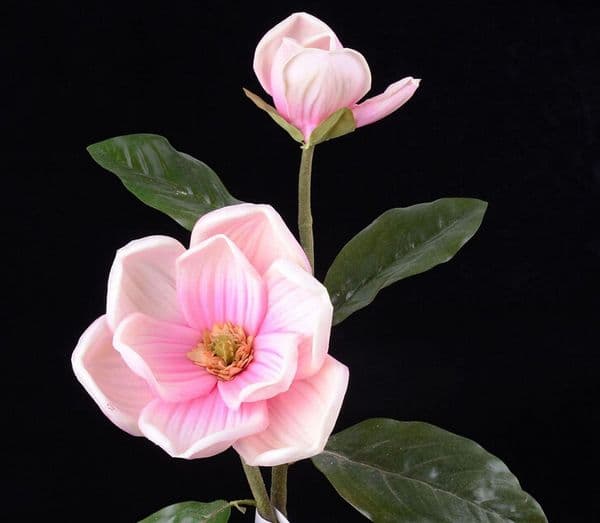 Hot sell display flower real touch mangnolia artificial magnolia flower for Wedding or Home Decorative Flowers