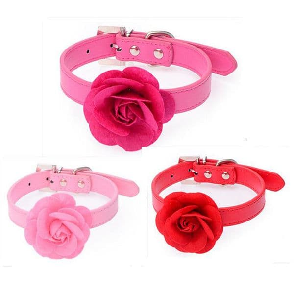 2017 new Factory direct sales PU necklace diamond button necklace fashion rose dog pet supplies free shipping