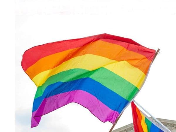 Rainbow Flag 3x5FT 90x150cm Lesbian Gay Pride Polyester LGBT Flag Banner Polyester Colorful Rainbow Flag For Decoration 3 X 5FT SN1225