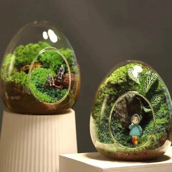 Bestseller Micro Landscape Ecological Creative Plant Bonsai Vase Office Desktop DIY Flower Bottle Without Plants ZI116 ddmytues