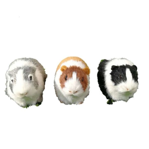 Doll Stuffed Plush Animals Hamster Simulation Fur Guinea Pig Plush Toy Soft Stuffed Animal Figurine For Kids Birthday Gift
