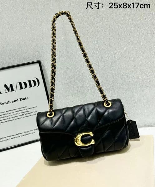 High Quality designer purse Luxury Women Bag Teri Handbags tote bag purse wallet Shoulder Crossbody Bag Designer Bags Lady Clutch wallet Hobo Purses totes 25cm J41