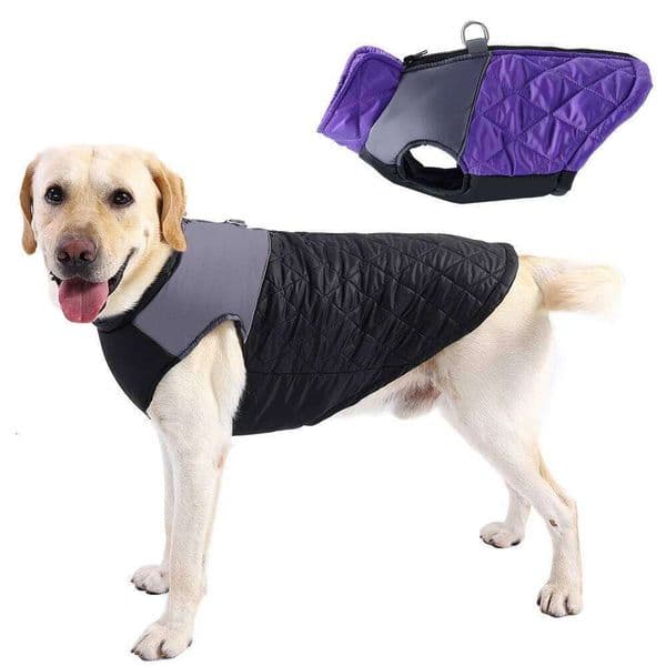 Reflective Clothes Winter Warm Pet Jacket For Small Large Dog Puppy Windproof Clothing with D-ring Labrador Pug Outfits
