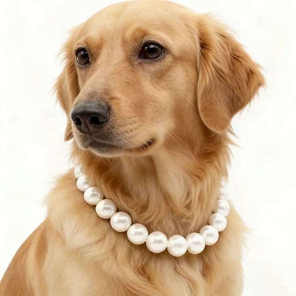 Pet Collars Pearl Collar Dogs And Cats Stainless Steel Wire Rope Erfect Large Dogs Ideal For Wedding Necklace Cm Chicpet
