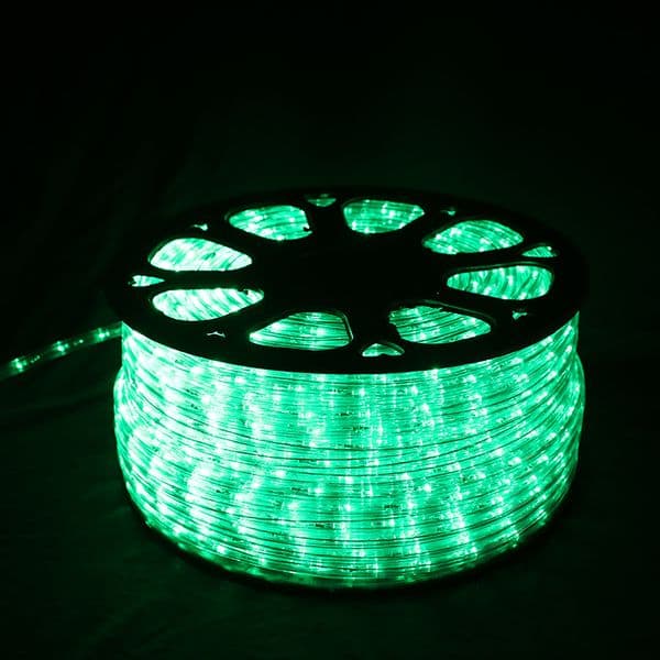 Hollow Circular Two-Line Tube Lamp Multiple Color Options Available 12mm