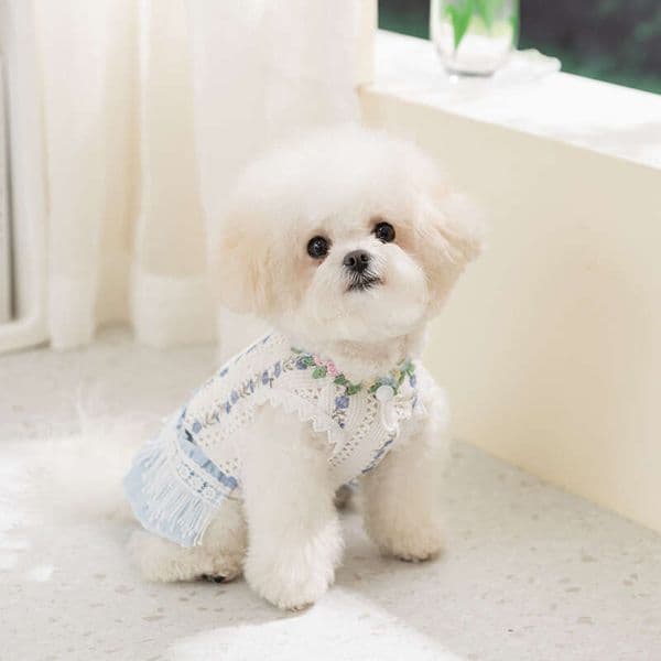 Vest New Spring/Summer Dog Holiday Style Tassel Dress For Small And Medium Sized Dogs Teddy Bichon Pet Cat Clothes